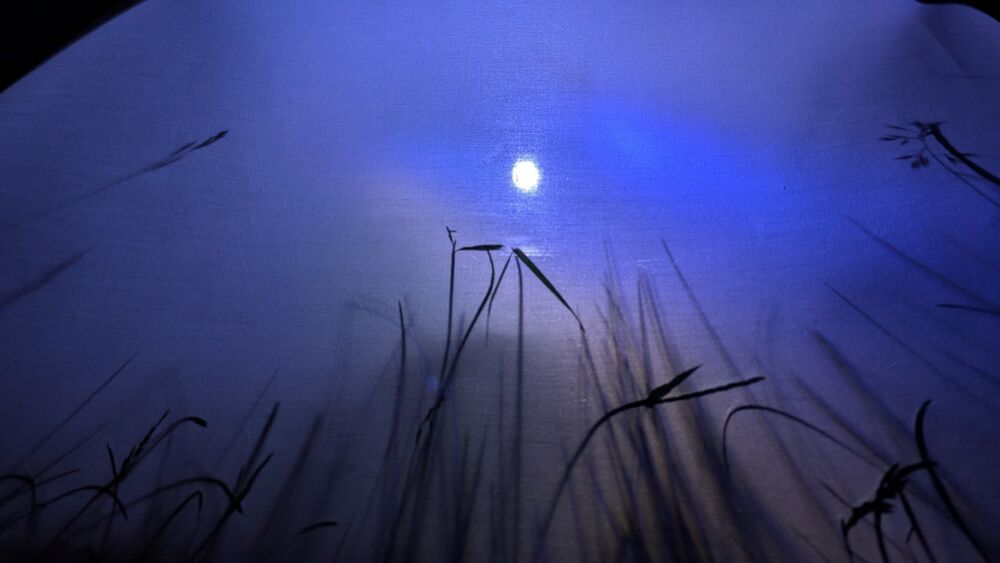 Lampe 5